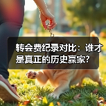 转会费纪录对比:谁才是真正的历史赢家?(图4) 转会费纪录对比:谁才是真正的历史赢家?(图4)
