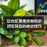 助攻纪录保持者揭密:冠军背后的绝密技巧(图2) 助攻纪录保持者揭密:冠军背后的绝密技巧(图2)