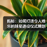 揭秘：如何打造令人难忘的球星退役仪式策划