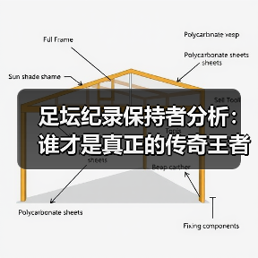 足坛纪录保持者分析:谁才是真正的传奇王者?(图2) 足坛纪录保持者分析:谁才是真正的传奇王者?(图2)
