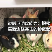边后卫助攻能力：揭秘高效边路突击的秘密武器（图3）