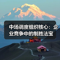 中场调度组织核心:企业竞争中的制胜法宝(图4) 中场调度组织核心:企业竞争中的制胜法宝(图4)