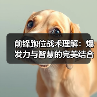 前锋跑位战术理解：爆发力与智慧的完美结合（图3）