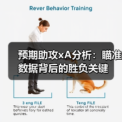 预期助攻xA分析:瞄准数据背后的胜负关键(图2) 预期助攻xA分析:瞄准数据背后的胜负关键(图2)