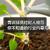青训球员经纪人规范:你不知道的行业内幕与实操技巧(图2) 青训球员经纪人规范:你不知道的行业内幕与实操技巧(图2)