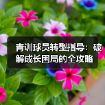 青训球员转型指导：破解成长困局的全攻略（图3）