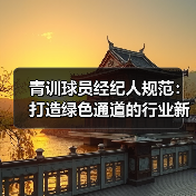 青训球员经纪人规范:打造绿色通道的行业新规(图4) 青训球员经纪人规范:打造绿色通道的行业新规(图4)