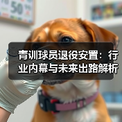 青训球员退役安置:行业内幕与未来出路解析(图2) 青训球员退役安置:行业内幕与未来出路解析(图2)