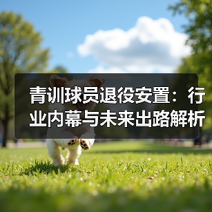 青训球员退役安置:行业内幕与未来出路解析(图3) 青训球员退役安置:行业内幕与未来出路解析(图3)