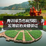 青训球员伤病预防：激发潜能的关键保证