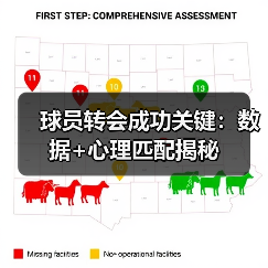 球员转会成功关键：数据+心理匹配揭秘