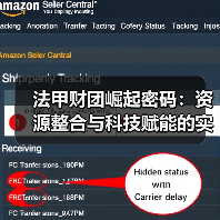 法甲财团崛起密码：资源整合与科技赋能的实战之道（图2）