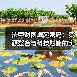 法甲财团崛起密码：资源整合与科技赋能的实战之道（图3）