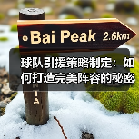 球队引援策略制定:如何打造完美阵容的秘密武器(图4) 球队引援策略制定:如何打造完美阵容的秘密武器(图4)