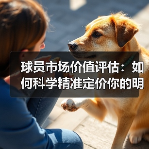 球员市场价值评估:如何科学精准定价你的明星球员(图3) 球员市场价值评估:如何科学精准定价你的明星球员(图3)