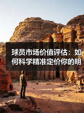 球员市场价值评估:如何科学精准定价你的明星球员(图2) 球员市场价值评估:如何科学精准定价你的明星球员(图2)