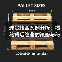 球员转会案例分析:揭秘背后隐藏的策略与秘密(图3) 球员转会案例分析:揭秘背后隐藏的策略与秘密(图3)