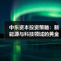 中东资本投资策略：新能源与科技领域的黄金钥匙（图2）