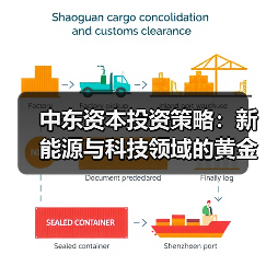 中东资本投资策略：新能源与科技领域的黄金钥匙（图3）