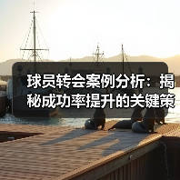 球员转会案例分析:揭秘成功率提升的关键策略(图2) 球员转会案例分析:揭秘成功率提升的关键策略(图2)