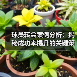 球员转会案例分析:揭秘成功率提升的关键策略(图4) 球员转会案例分析:揭秘成功率提升的关键策略(图4)