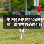 足坛转会市场2026新格局：暗藏玄机的隐性规则？