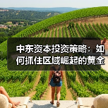 中东资本投资策略:如何抓住区域崛起的黄金机遇?(图3) 中东资本投资策略:如何抓住区域崛起的黄金机遇?(图3)