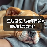 足坛经纪人如何用策略撬动球员身价？