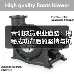 青训球员职业道路:揭秘成功背后的坚持与机遇(图2) 青训球员职业道路:揭秘成功背后的坚持与机遇(图2)