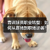 青训球员职业转型：如何从赛场到职场逆袭？