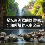 足坛青训营的管理模式：如何培养未来之星？