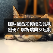 团队配合如何成为胜利密码?解析瑞典女足制胜之道(图2) 团队配合如何成为胜利密码?解析瑞典女足制胜之道(图2)