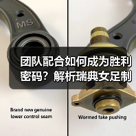 团队配合如何成为胜利密码?解析瑞典女足制胜之道(图3) 团队配合如何成为胜利密码?解析瑞典女足制胜之道(图3)