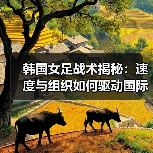韩国女足战术揭秘:速度与组织如何驱动国际顶尖?(图4) 韩国女足战术揭秘:速度与组织如何驱动国际顶尖?(图4)