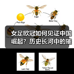 女足欧冠如何见证中国崛起?历史长河中的璀璨篇章(图3) 女足欧冠如何见证中国崛起?历史长河中的璀璨篇章(图3)