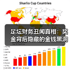 足坛财务丑闻真相:奖金背后隐藏的金钱黑洞(图2) 足坛财务丑闻真相:奖金背后隐藏的金钱黑洞(图2)