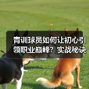 青训球员如何让初心引领职业巅峰?实战秘诀揭秘(图2) 青训球员如何让初心引领职业巅峰?实战秘诀揭秘(图2)