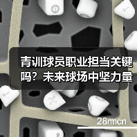 青训球员职业担当关键吗?未来球场中坚力量如何培养(图2) 青训球员职业担当关键吗?未来球场中坚力量如何培养(图2)