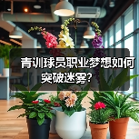 青训球员职业梦想如何突破迷雾?(图2) 青训球员职业梦想如何突破迷雾?(图2)