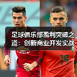 足球俱乐部盈利突破之道:创新商业开发实战全攻略(图2) 足球俱乐部盈利突破之道:创新商业开发实战全攻略(图2)
