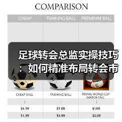 足球转会总监实操技巧:如何精准布局转会市场?(图4) 足球转会总监实操技巧:如何精准布局转会市场?(图4)