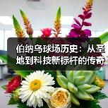 伯纳乌球场历史:从圣地到科技新标杆的传奇蜕变(图2) 伯纳乌球场历史:从圣地到科技新标杆的传奇蜕变(图2)
