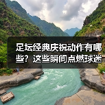 足坛经典庆祝动作有哪些？这些瞬间点燃球迷热血（图3）