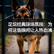 足坛经典球场氛围：为何这些瞬间让人热血沸腾？