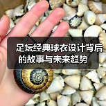 足坛经典球衣设计背后的故事与未来趋势(图3) 足坛经典球衣设计背后的故事与未来趋势(图3)