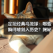 足坛经典乌龙球:哪些瞬间被刻入历史?揭秘背后故事(图2) 足坛经典乌龙球:哪些瞬间被刻入历史?揭秘背后故事(图2)