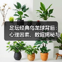 足坛经典乌龙球背后:心理因素、数据揭秘与逆转真相(图3) 足坛经典乌龙球背后:心理因素、数据揭秘与逆转真相(图3)