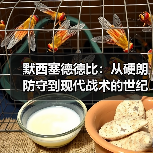 默西塞德德比:从硬朗防守到现代战术的世纪对决(图3) 默西塞德德比:从硬朗防守到现代战术的世纪对决(图3)