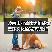 波西米亚德比为何成为足球文化的璀璨明珠?(图4) 波西米亚德比为何成为足球文化的璀璨明珠?(图4)