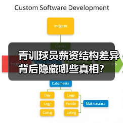 青训球员薪资结构差异背后隐藏哪些真相?(图2) 青训球员薪资结构差异背后隐藏哪些真相?(图2)